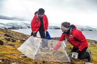 Comprendiendo los sistemas biológicos terrestres de la Antártica en un clima cambiante