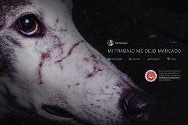 Carreras de galgos