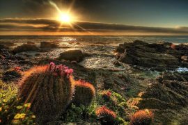 Foto naturaleza en primavera