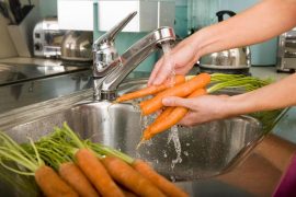 Seguridad Alimentaria