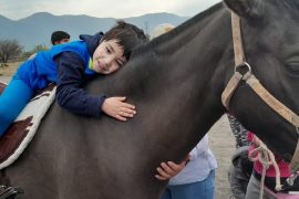 Equinoterapia