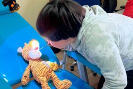 Neurodivergencia odontopediatría